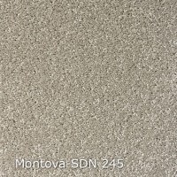 Montova-SDN 245